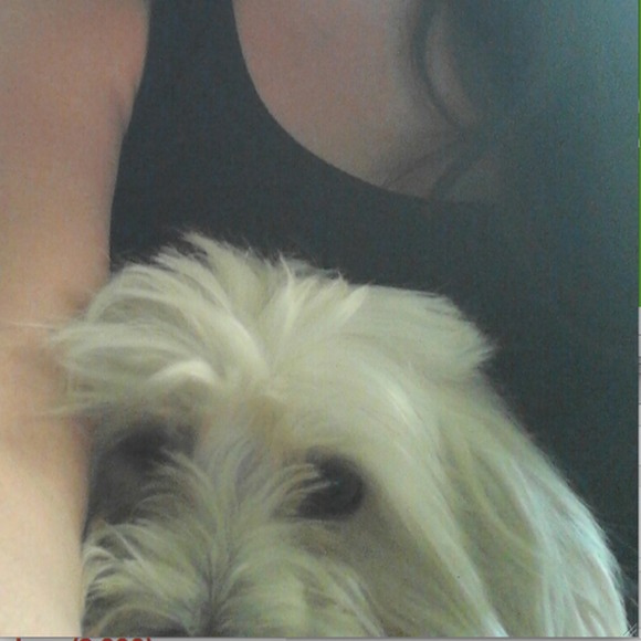 Meet your Posher, Ashley eden - Picture 1 of 1